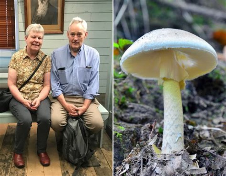 Erin Patterson Missing News Gone Viral: Mushroom Lady Arrested And Charged