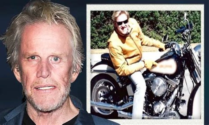 Gary Busey's Brain Damage: Uncovering Hidden Insights
